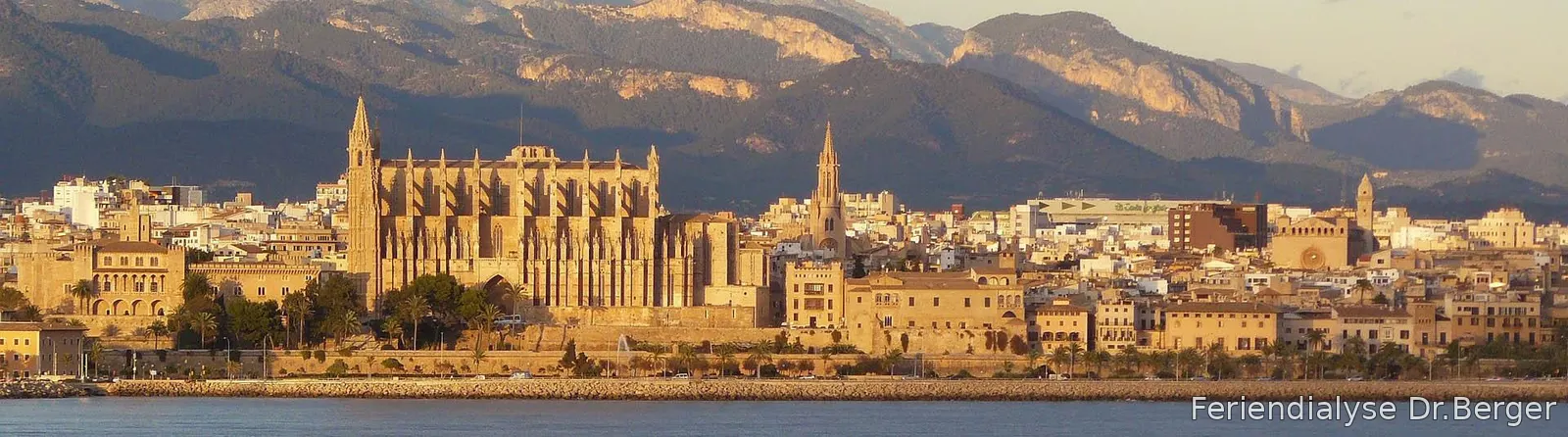 Palma Bild 1